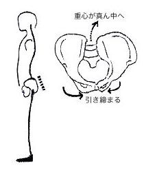 姿勢が良い