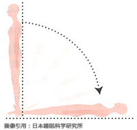 理想的な寝姿勢は立位に近い姿勢